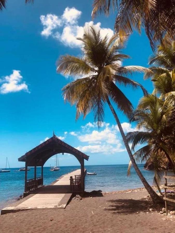 Studio Sainte Anne 2Mn A Pieds De La Plage ,Possibilite Location De Voiture Exterior photo